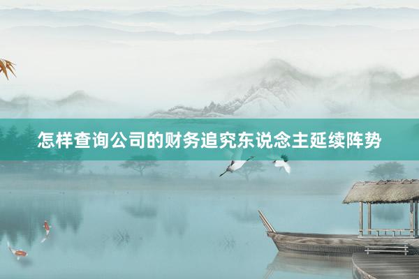 怎样查询公司的财务追究东说念主延续阵势