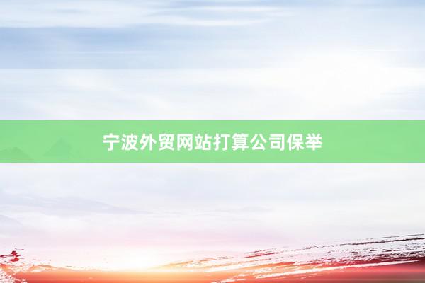 宁波外贸网站打算公司保举