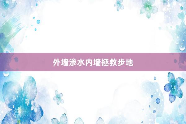 外墙渗水内墙拯救步地
