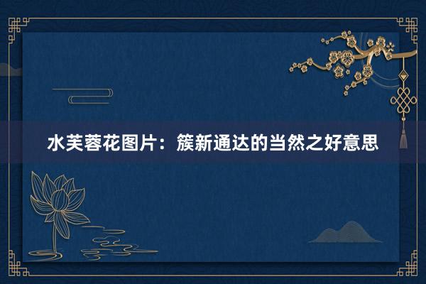 水芙蓉花图片：簇新通达的当然之好意思